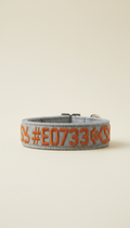 Stone grey cat collar with name embroidery, Three-quarter angle as default for accessories—shows engraving/embroidery...